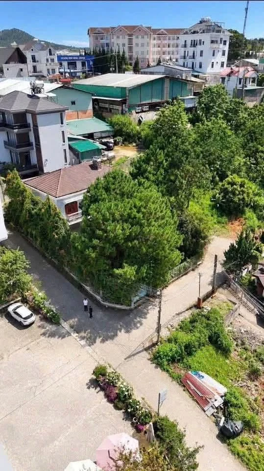Bán villa 3 mặt tiền 525m² full thổ cư Hùng Vương, Đà Lạt - Ảnh thu nhỏ 2