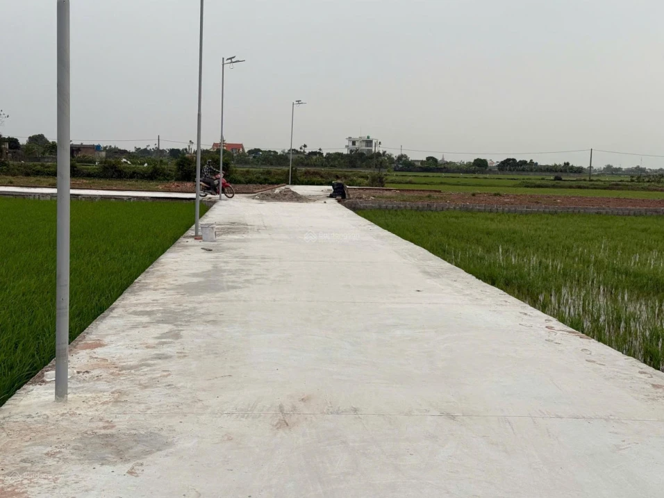 Bán đất 120m² tại Thôn Thiện Tường, Xã Nam Thịnh, Huyện Tiền Hải, giá nhỉnh 5 trăm triệu - Ảnh thu nhỏ 3