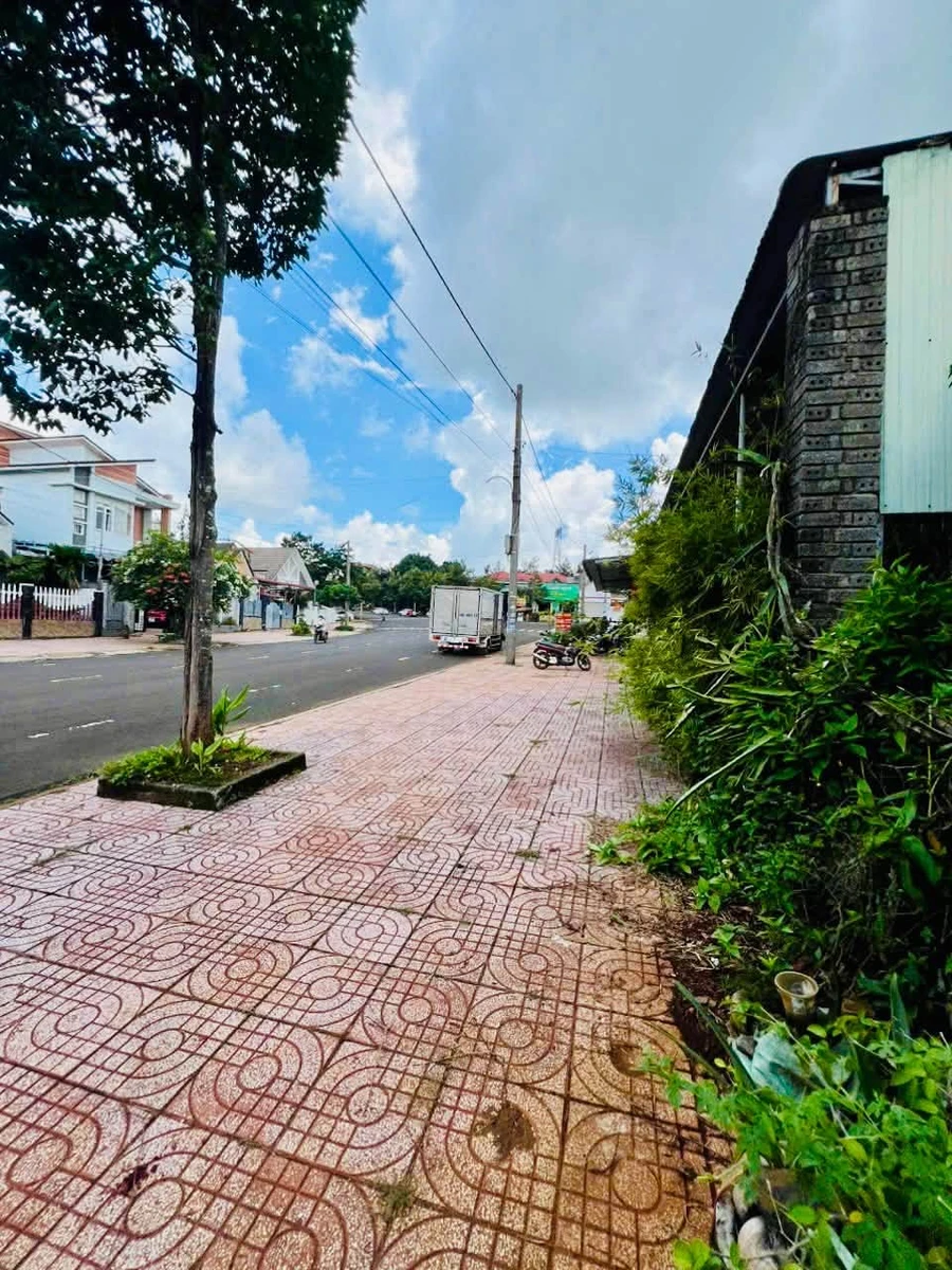 Bán đất thổ cư 12x24m đường Hàm Nghi, TĐC Đắk Nia, phường Đông Gia Nghĩa - Ảnh thu nhỏ 3