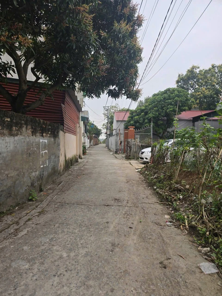 Bán lô đất Việt Hòa 50.8m2 gần chợ và trường học - Ảnh thu nhỏ 4