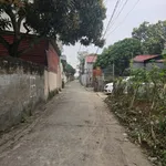 Bán lô đất Việt Hòa 50.8m2 gần chợ và trường học - Ảnh thu nhỏ 4