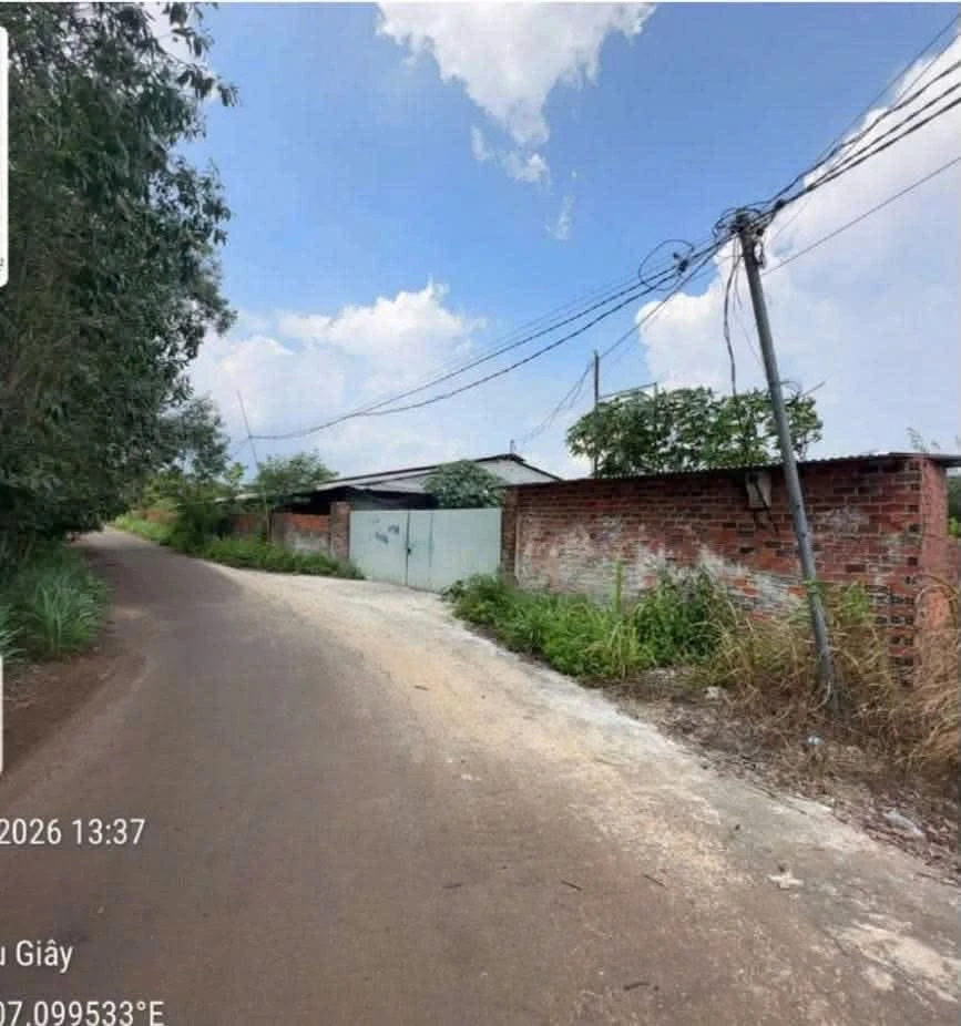 Bán trang trại 10.000 m² Dầu Giây, Đồng Nai - Ảnh 1