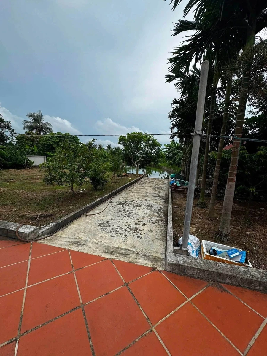 Bán nhà 2 tầng 542m² xã Tân An, Hải Phòng - Ảnh thu nhỏ 4
