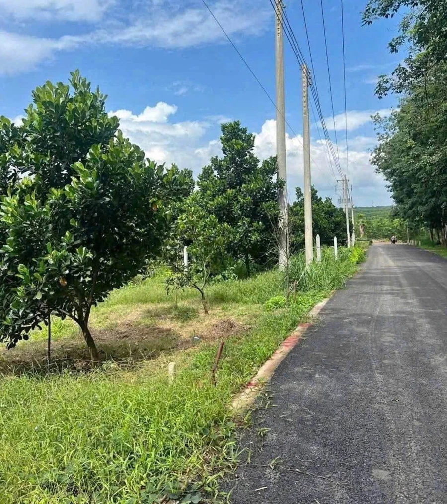 Bán đất 500m2 có 200m thổ cư ở Phú Giáo, Bình Dương - Ảnh 1