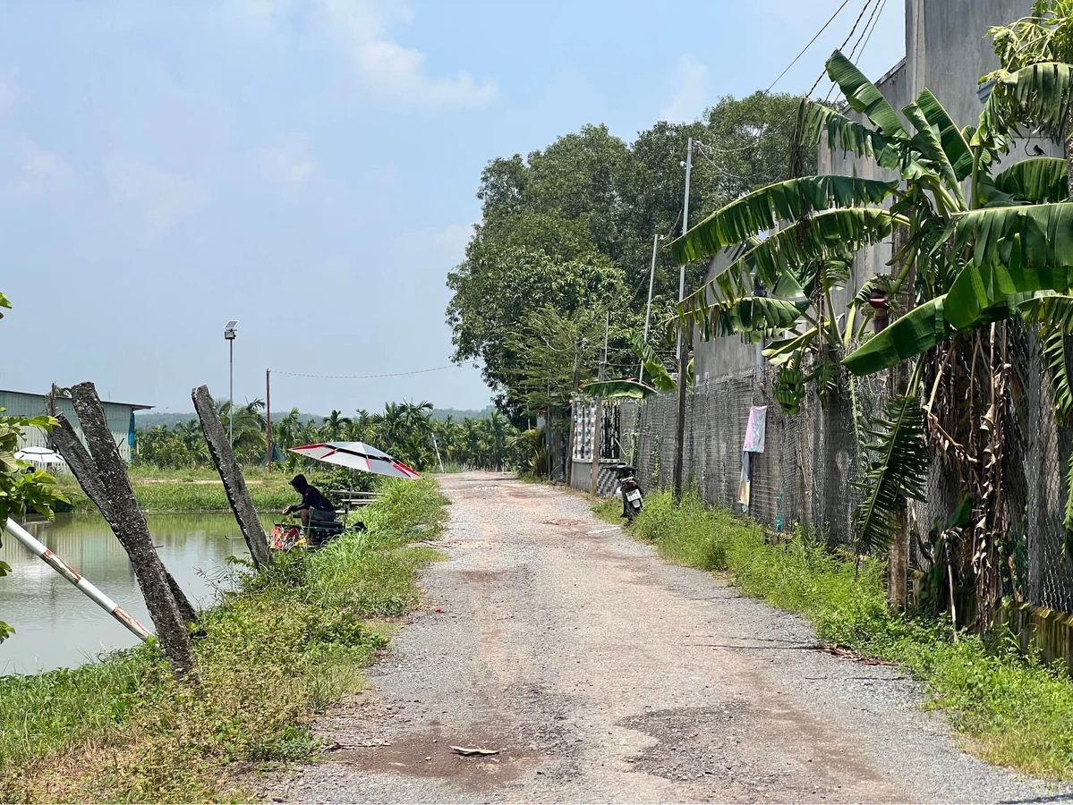 Bán đất vườn 3363m2 Phường Gò Dầu Tây Ninh - Ảnh thu nhỏ 4