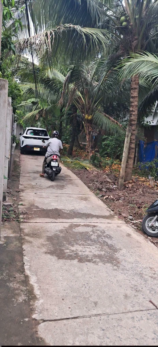 Bán đất Nhà Bè 280m² gần trường cấp Tân Thạch B 650 triệu - Ảnh thu nhỏ 3