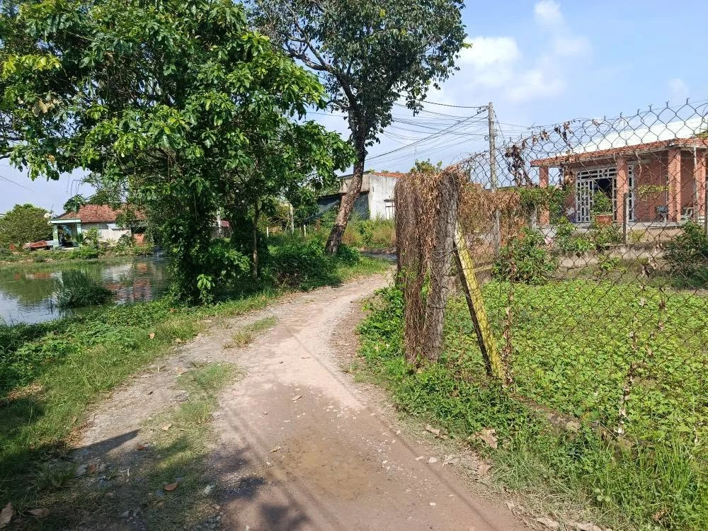 Bán 2 lô đất thổ cư Bình Nguyên Gò Dầu, 85-100m2, 550 triệu/lô - Ảnh thu nhỏ 5