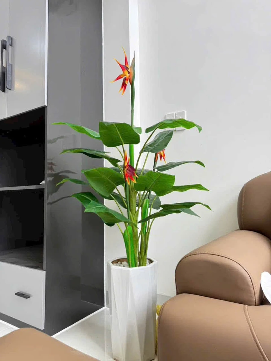 Bán nhà 76m² 3PN Tâm Hiệp Bình Chánh 2,55 tỷ - Ảnh thu nhỏ 5