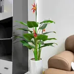Bán nhà 76m² 3PN Tâm Hiệp Bình Chánh 2,55 tỷ - Ảnh thu nhỏ 5