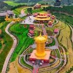Bán đất 2000m2 có nhà cấp 4, vườn cây lâu năm tại Tu Tra, Đơn Dương, Lâm Đồng - Ảnh thu nhỏ 4