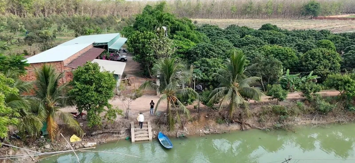Bán đất vườn sầu riêng 27 ha mặt tiền ĐT 793 Tây Ninh - Ảnh thu nhỏ 5