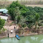 Bán đất vườn sầu riêng 27 ha mặt tiền ĐT 793 Tây Ninh - Ảnh thu nhỏ 5