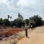 Bán đất hẻm 192 Đào Duy Anh, 560 m2, 1,4 tỷ - Ảnh thu nhỏ 1