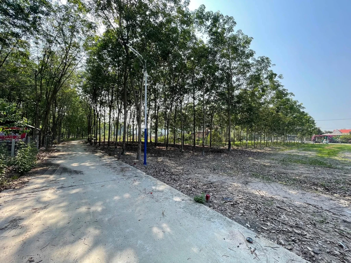 Bán đất mặt tiền Cao Bá Quát 516m2, Bình Chánh 550 triệu - Ảnh 1