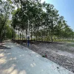Bán đất mặt tiền Cao Bá Quát 516m2, Bình Chánh 550 triệu - Ảnh thu nhỏ 1