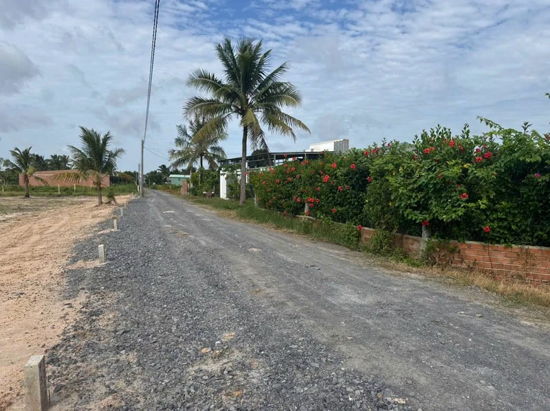 Bán đất thổ cư 50m² giá 189 triệu, sổ hồng riêng, gần ĐT788, Tây Ninh