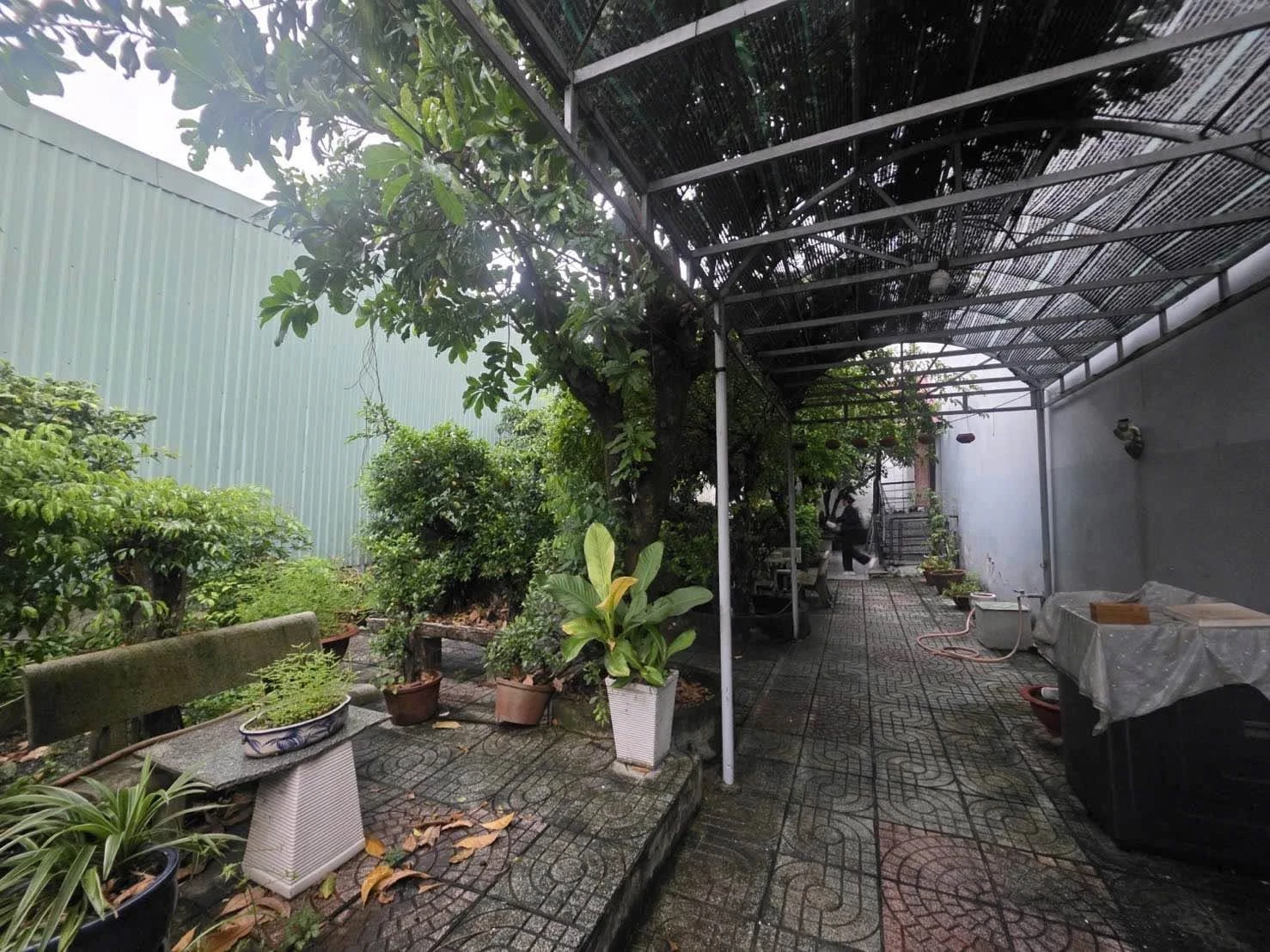 Bán đất mặt tiền Thạnh Xuân 172m2, Q12, 7 tỷ - Ảnh 1