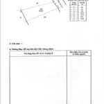 Bán đất 557m2 gần biển Phước Hải 2 tỷ 350 - Ảnh thu nhỏ 5