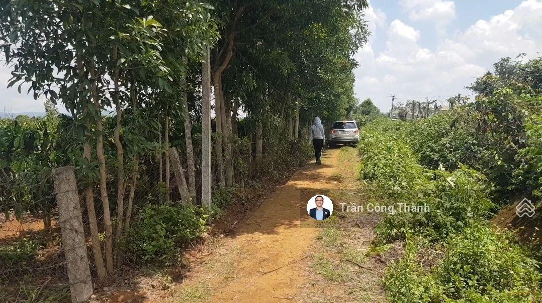 1948m2 (sẵn 230m2 đất ở) - mặt tiền 30m - Ảnh thu nhỏ 5