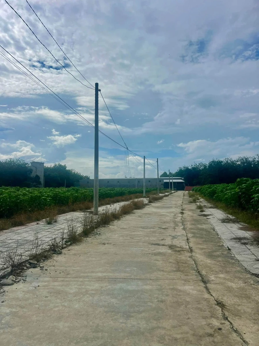 Bán đất nền 100m² Minh Thành gần KCN BECAMEX 560 triệu - Ảnh thu nhỏ 3