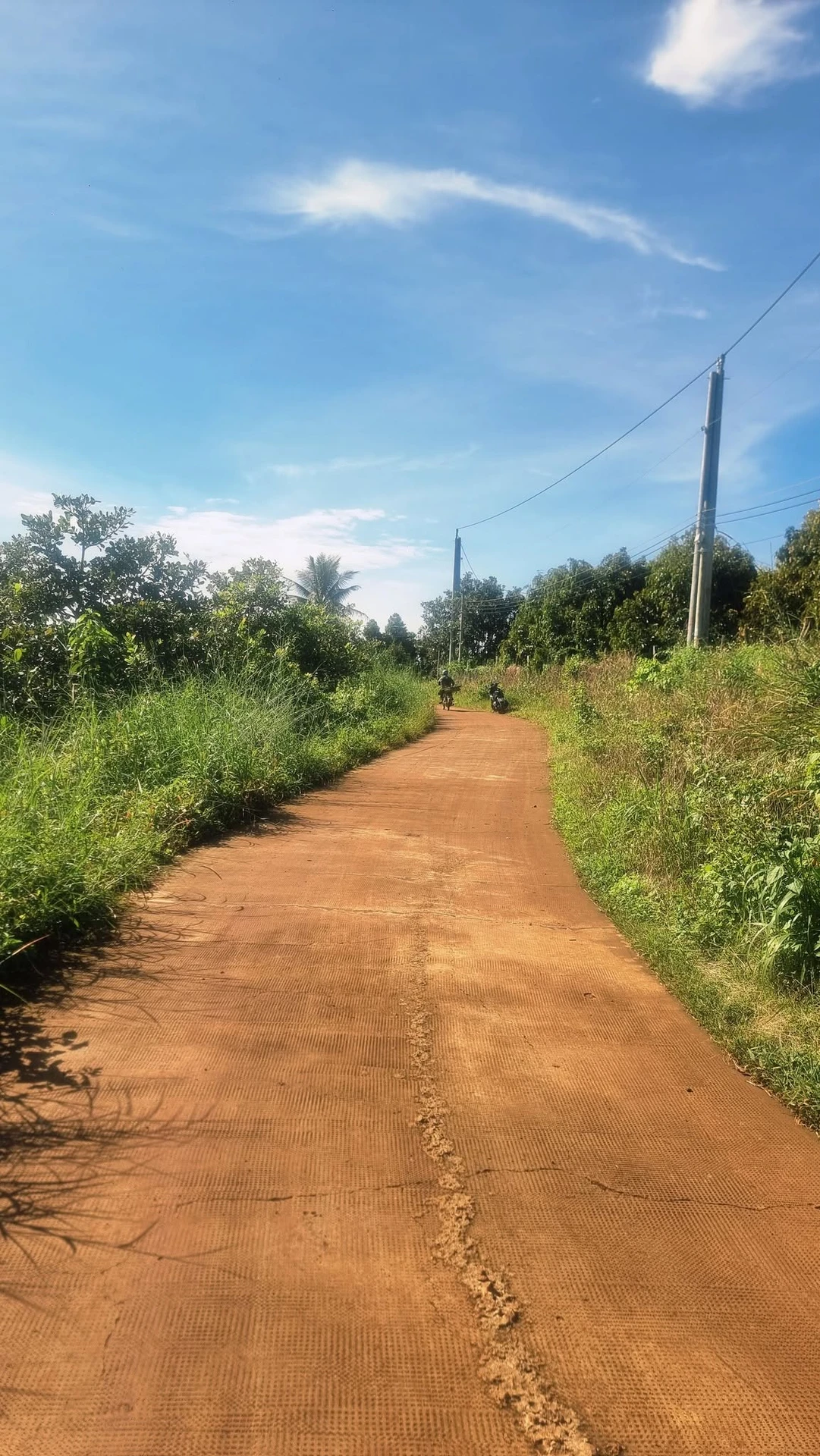 Bán đất đỏ 2,56ha mặt tiền 130m Đồng Nai - Ảnh 1