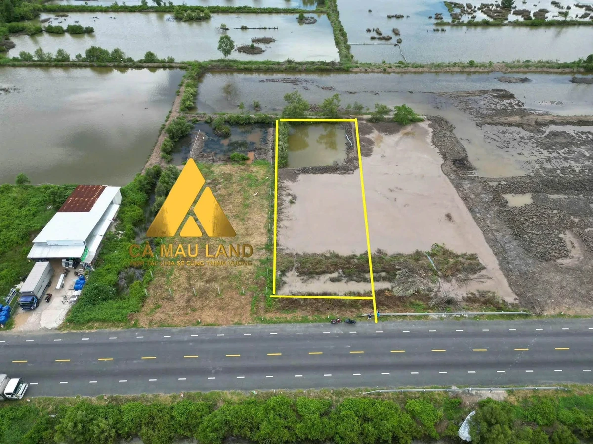Bán đất nền 1300m² Quốc Lộ 1A, Cà Mau 2 tỷ - Ảnh 1