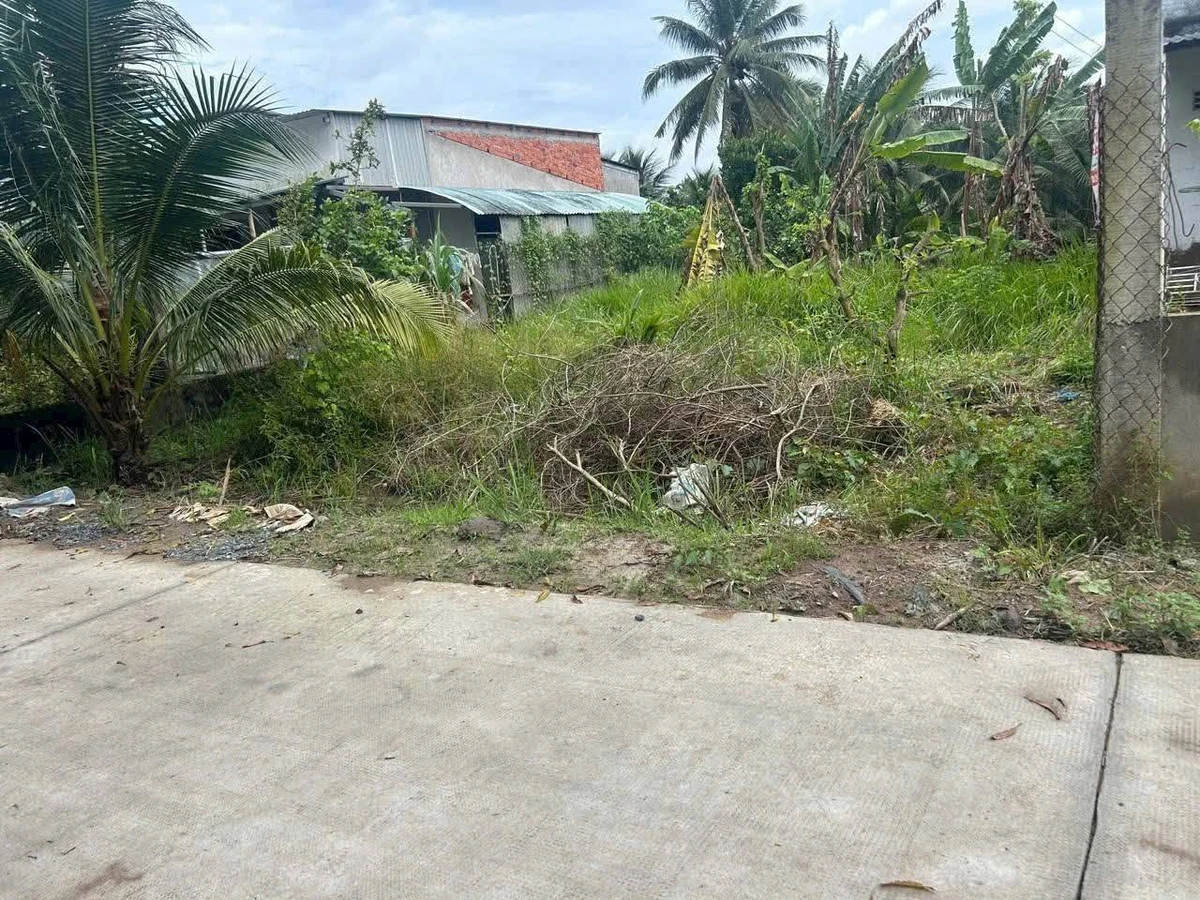 Bán đất nền biệt thự Sơn Đông 347m2 1 tỷ 200 triệu - Ảnh thu nhỏ 2