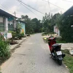 Bán đất Tân Thông Hội, Củ Chi 231m² mặt tiền 950 triệu - Ảnh thu nhỏ 3