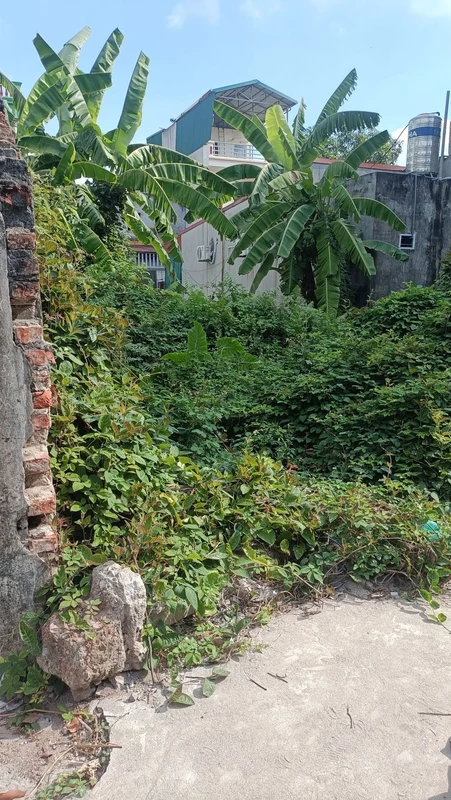 Bán đất 45m2 Kim Sơn Gia Lâm Hà Nội