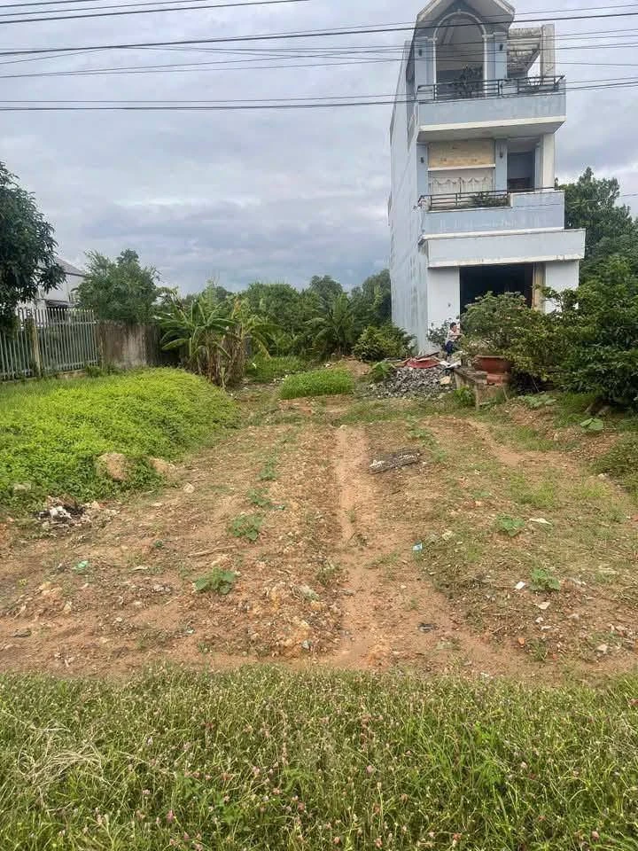 Bán lô đất nền thổ cư 5x49m mặt tiền TL824, Lương Hòa, Bến Lức, Long An - Ảnh thu nhỏ 3
