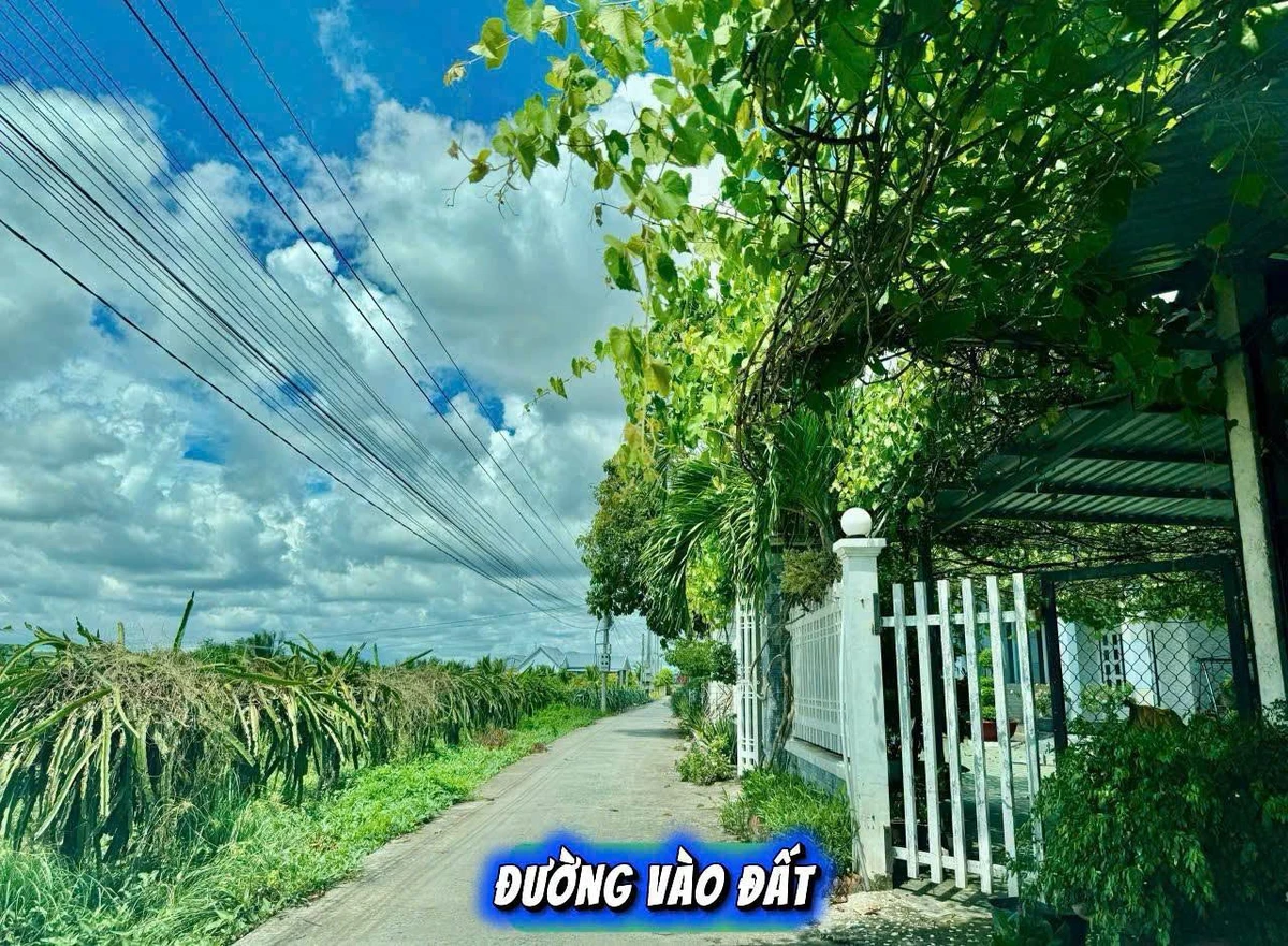 Bán đất full thổ cư Thanh Phú Long Long An 124m², 399 triệu - Ảnh thu nhỏ 3
