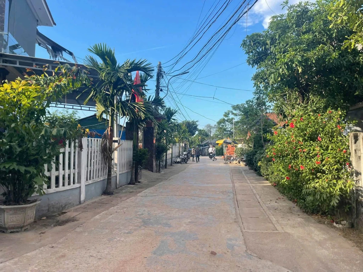 Bán đất phân lô 307 Trương Nữ Vương, 80m, 1tỷ3 - Ảnh thu nhỏ 4