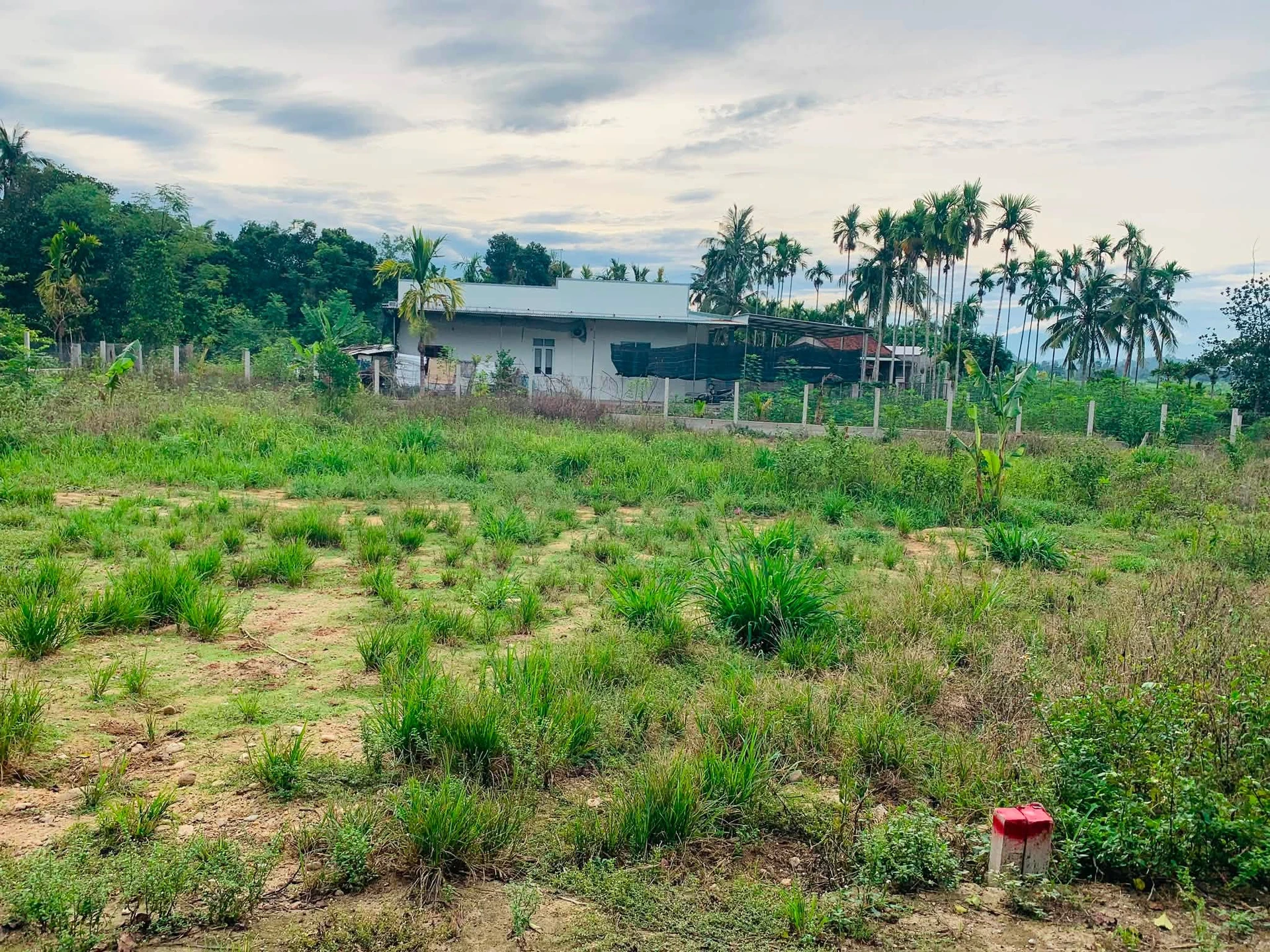 Bán lô đất Nghĩa Thắng 170m², 270 triệu - Ảnh 1