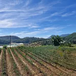Bán lô đất 4800m² mặt tiền 42,5m view rừng thông tại Đèo Mimoza, Đà Lạt, giá 15 tỷ - Ảnh thu nhỏ 3