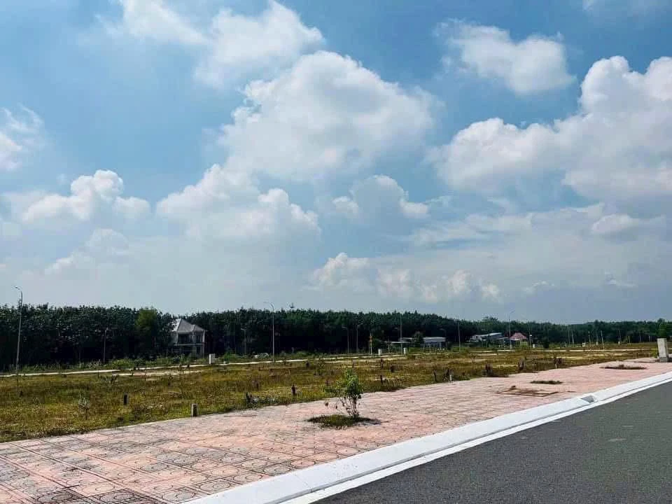 Bán đất nền Dragon City 126m2, 1 tỷ 4 Long Thành Đồng Nai - Ảnh thu nhỏ 3