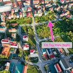 Bán đất Tây Hữu Nghị, 133,7 m², 2 tỷ 1 - Ảnh thu nhỏ 1