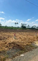 Bán 184,7m2 chỉ 369tr ngay cổng KDL Núi Bà Đen, phủ hồng toàn bộ mặt tiền nhựa 6m - Ảnh thu nhỏ 5