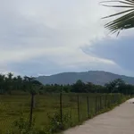 Bán đất hơn 1000m2 có 200m2 thổ cư tại Nhà Bè - Ảnh thu nhỏ 1