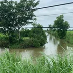 Cần bán 1,2ha đất ruộng tại Vàm Láng, đối diện cty Ống Thép. Giá 3tỷ500tr. LH: 0901 311 *** - Ảnh thu nhỏ 1