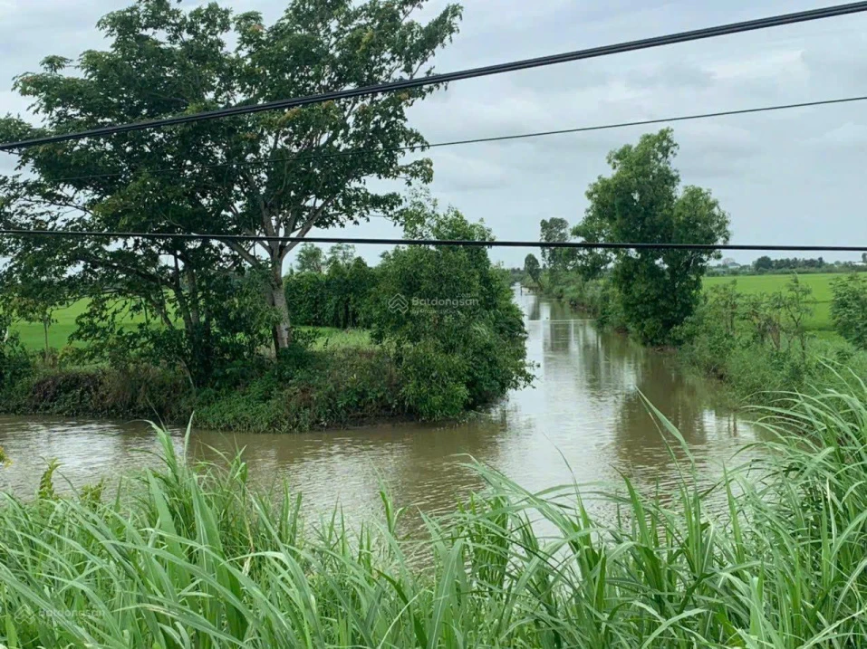 Cần bán 1,2ha đất ruộng tại Vàm Láng, đối diện cty Ống Thép. Giá 3tỷ500tr. LH: 0901 311 *** - Ảnh 1