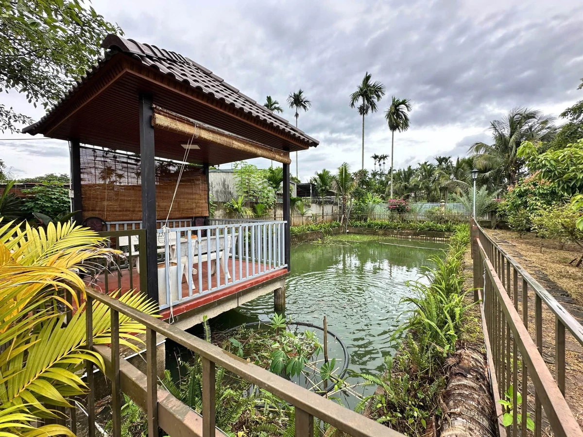 Nhà vườn Buôn Ma Thuột 1 sào đất, 64m² thổ cư, 3,65 tỷ - Ảnh thu nhỏ 3
