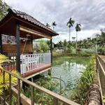 Nhà vườn Buôn Ma Thuột 1 sào đất, 64m² thổ cư, 3,65 tỷ - Ảnh thu nhỏ 3