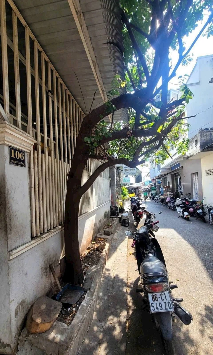 Bán nhà mặt tiền kinh doanh 105m2 gần Chợ Cẩm Sìn Phan Thiết - Ảnh thu nhỏ 4