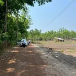 Bán đất sào 1000m² giá 299 triệu Chơn Thành - Ảnh thu nhỏ 3