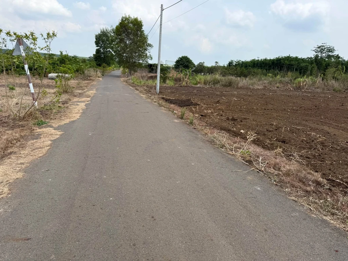Bán đất F0 Đá Bạc Nghĩa Thành Bình Chánh 430 triệu - Ảnh thu nhỏ 3