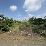 Bán đất Trần Phú, Long Hoa, Tây Ninh, 90m2, 395 triệu - Ảnh thu nhỏ 2