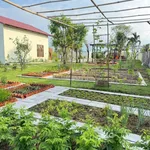 Bán nhà có vườn, cây trái, 1.606m² ở Phan Thiết - Ảnh thu nhỏ 4