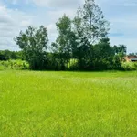 Bán đất hẻm Trường Đông, Long Hoa, Tây Ninh, 1000m² - Ảnh thu nhỏ 2