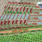 Bán đất 500m² Tây Ninh, ĐT790, giá 200-390 triệu - Ảnh thu nhỏ 1
