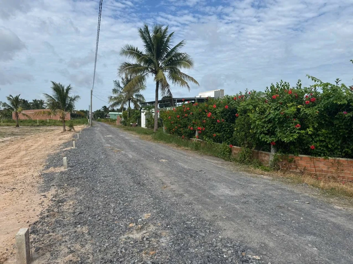 Bán đất 200m² tại Châu Thành, Tây Ninh, giá 165 triệu - Ảnh thu nhỏ 3